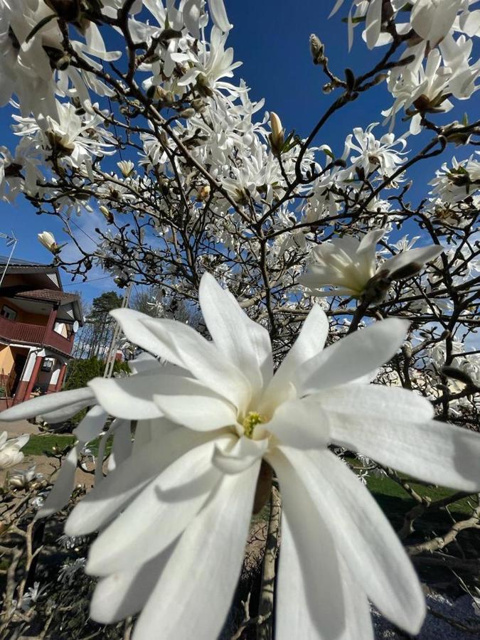 Zarzecze 27A Villa Augustow Luaran gambar
